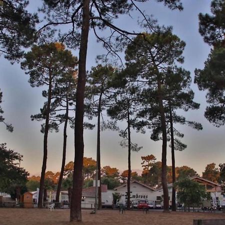 A La Brise Du Ferret Hotell Lège-Cap-Ferret Exteriör bild