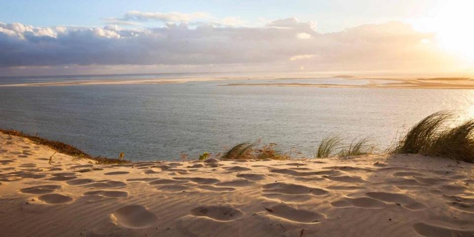 A La Brise Du Ferret Hotell Lège-Cap-Ferret Exteriör bild
