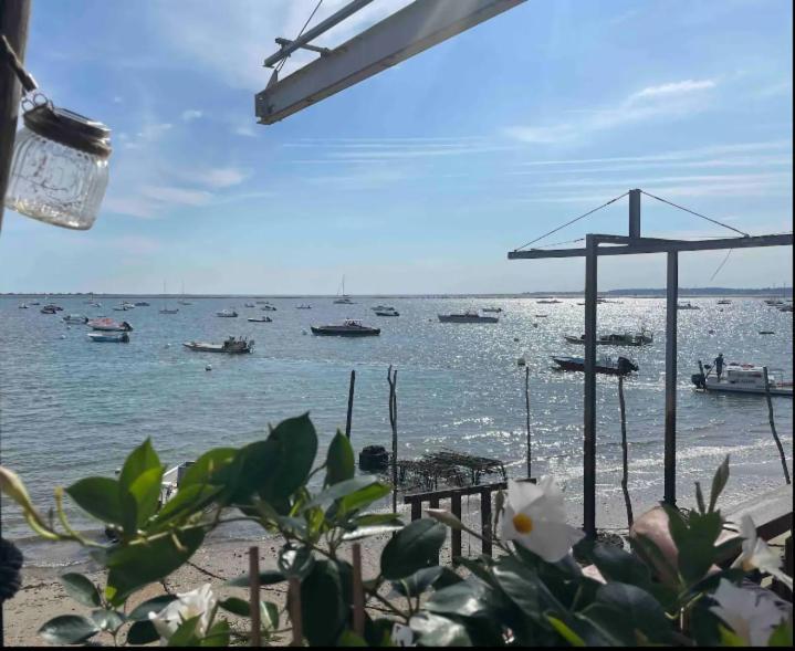 A La Brise Du Ferret Hotell Lège-Cap-Ferret Exteriör bild