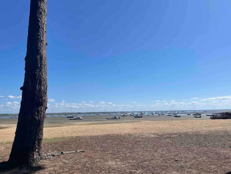 A La Brise Du Ferret Hotell Lège-Cap-Ferret Exteriör bild