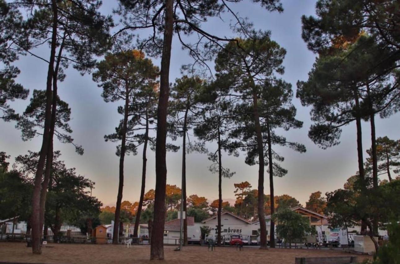 A La Brise Du Ferret Hotell Lège-Cap-Ferret Exteriör bild